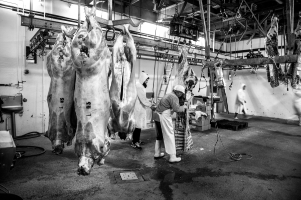 2014 02 19 Abattoir LuxeuilIMG 8682